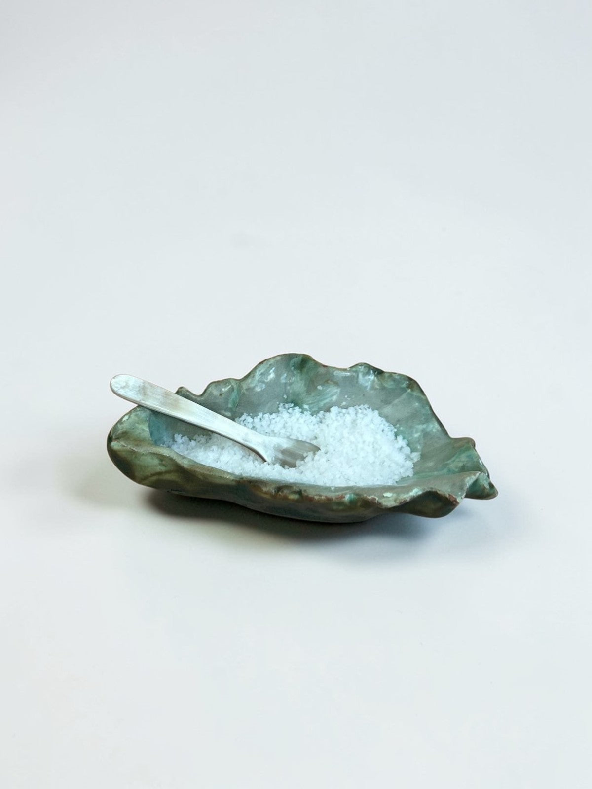 Coquillage gris texturé