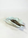 Coquillage beige