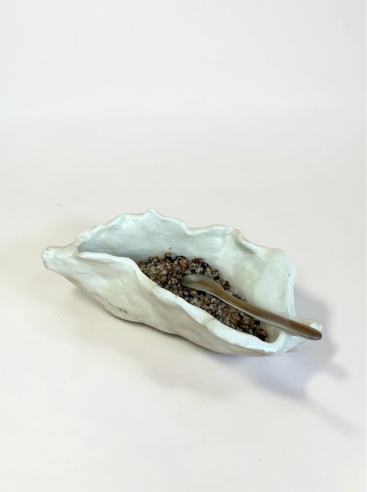 Coquillage gris texturé