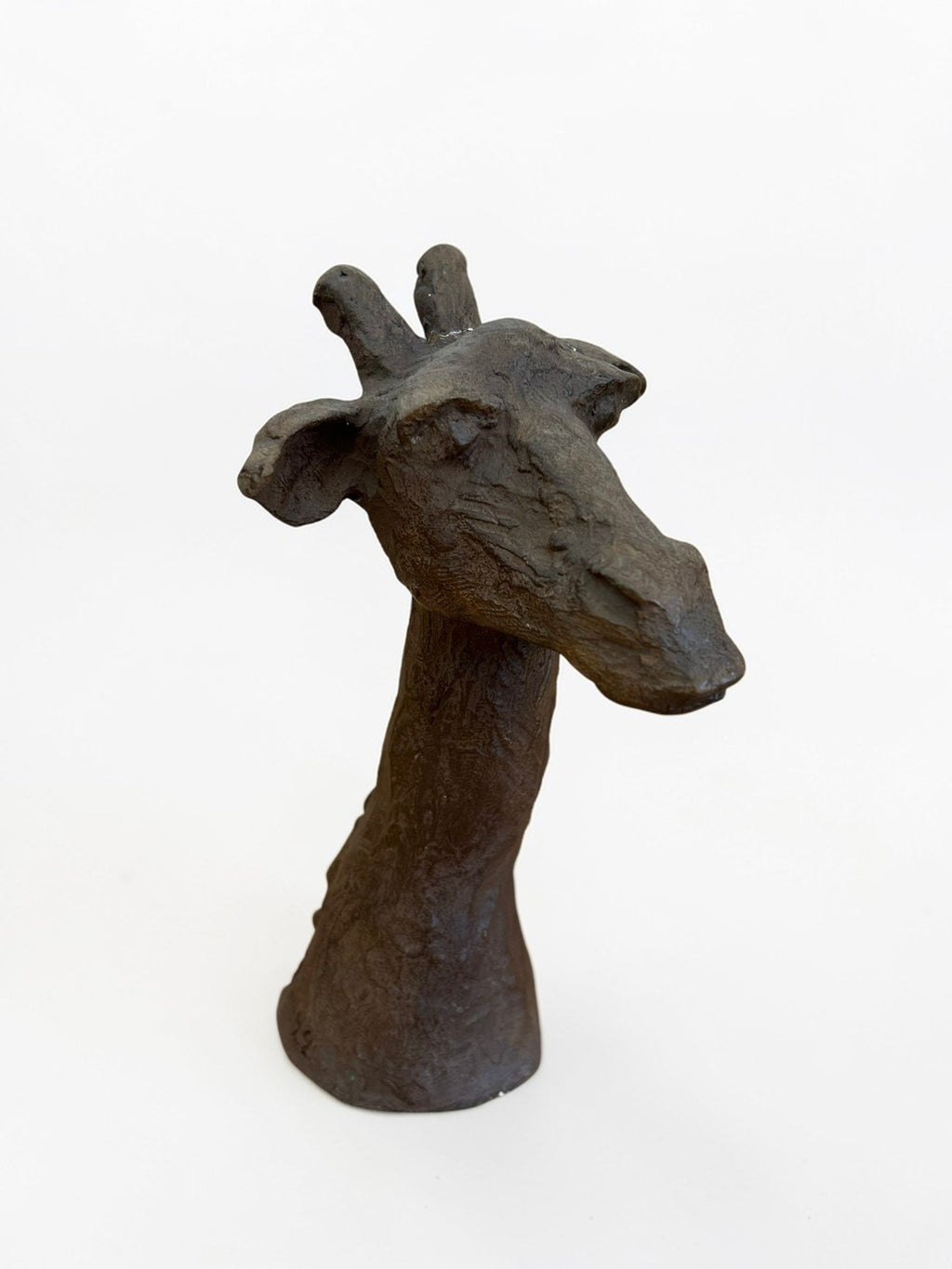 Tête de girafe