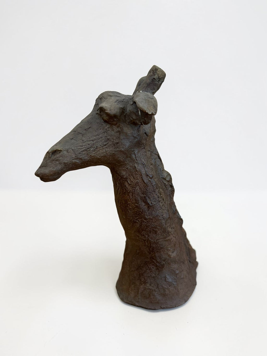 Tête de girafe