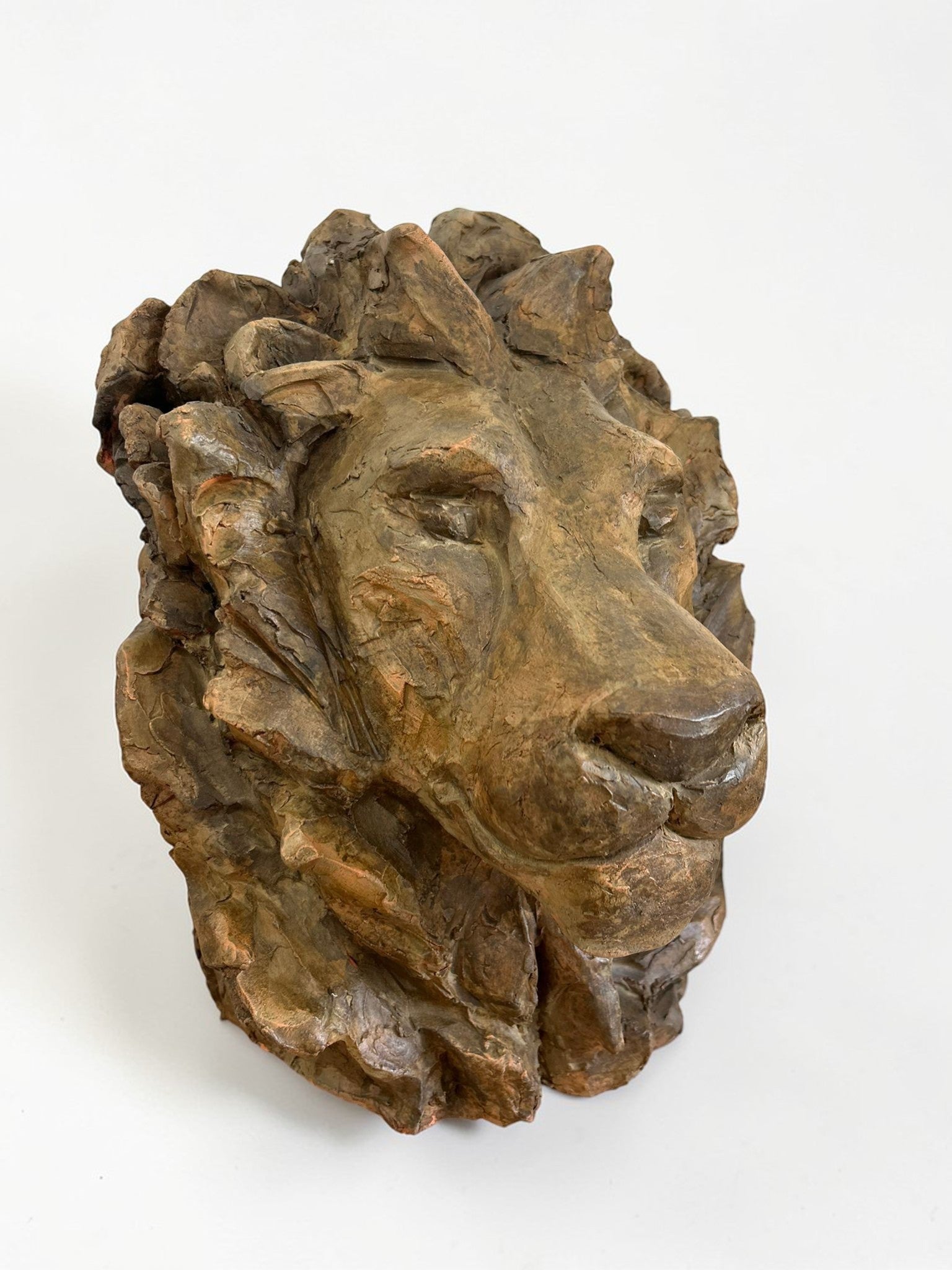 Tête de lion